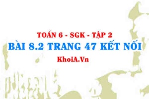 Bài 8.2 trang 47 Toán 6 Tập 2 Kết nối tri thức